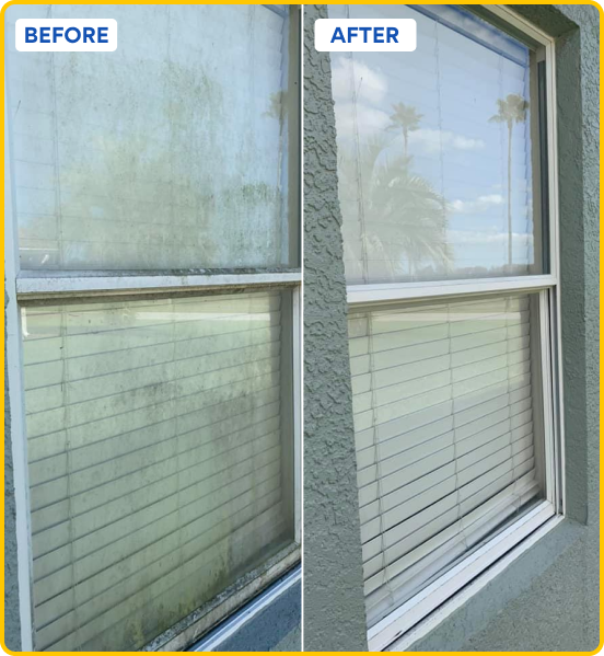 Window Washing Before & After