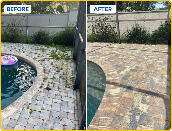 Pressure Washing Before & After