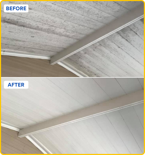 Tarpon Springs Pressure Washing