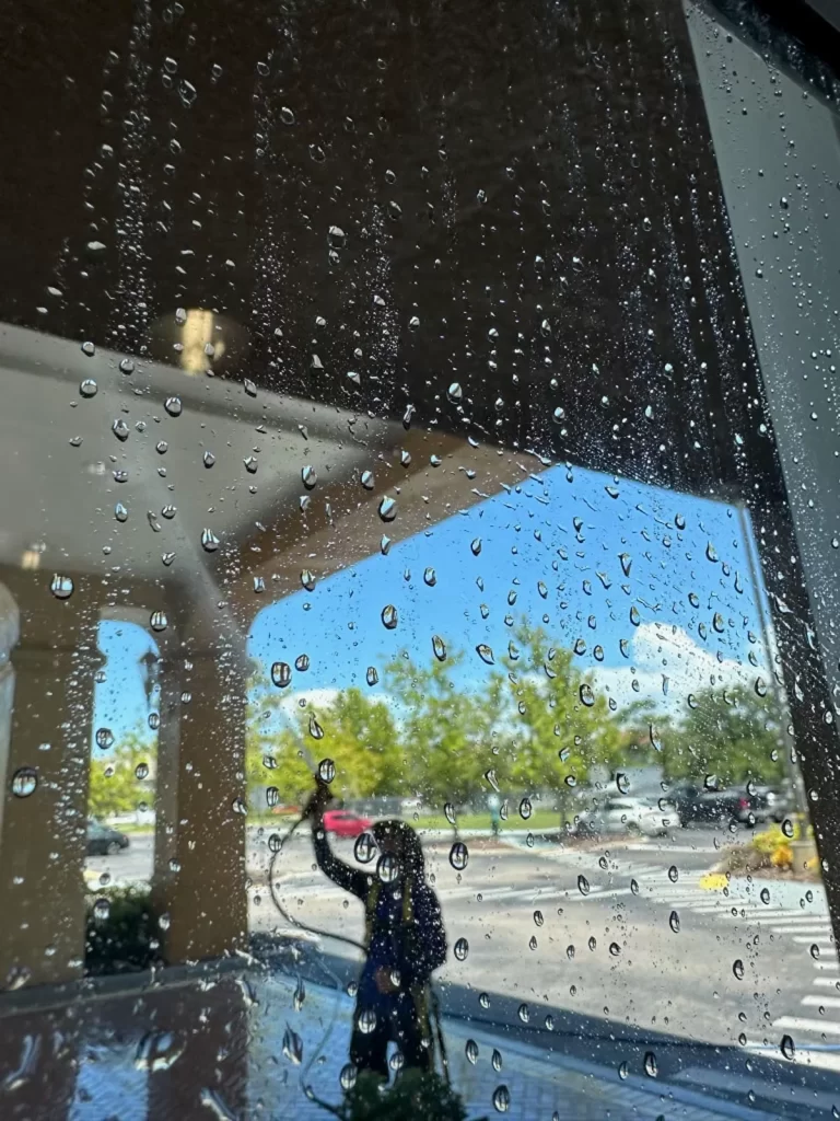 Window Washing