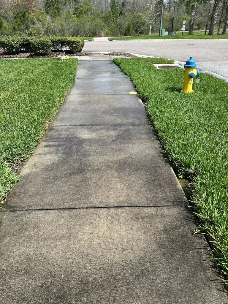 Residential driveway pressure washing before photo