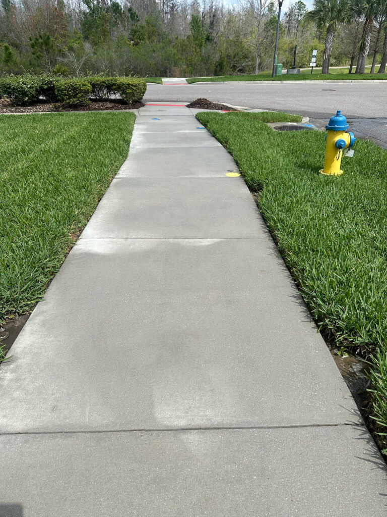 Residential driveway pressure washing after photo