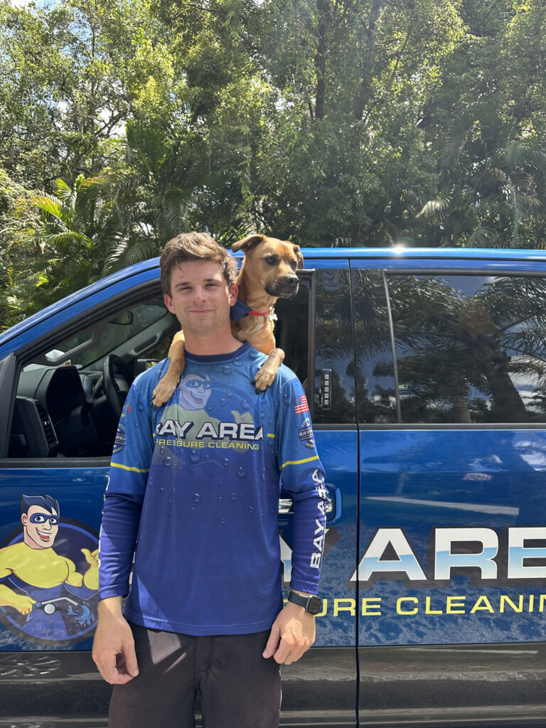 Pressure Washing Dunedin