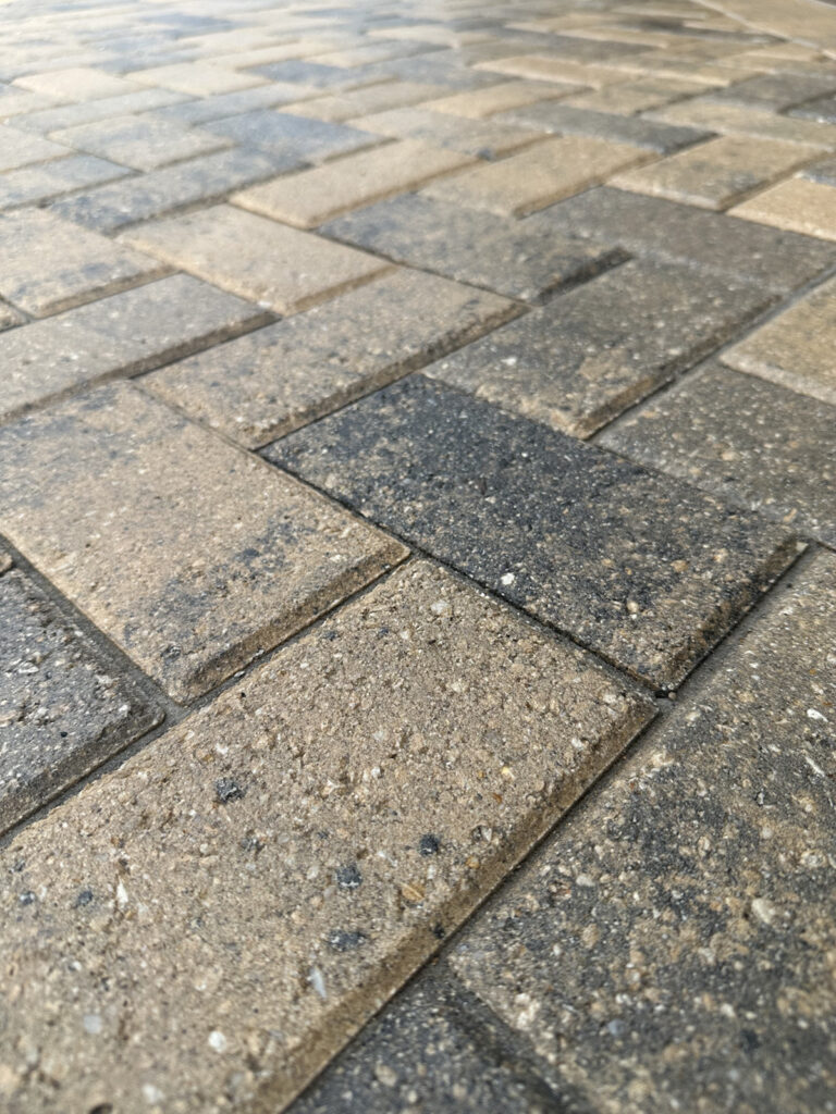 Paver Cleaning Before