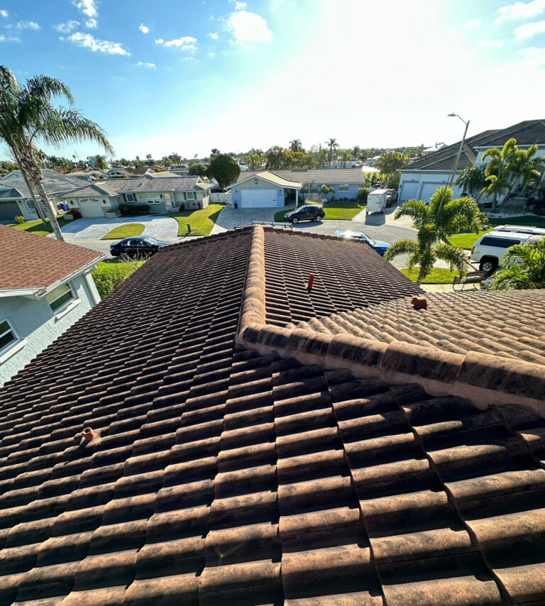 Before Soft Roof Washing