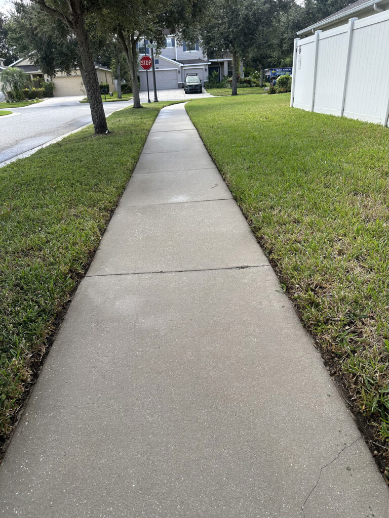 Pressure Washing in Land O Lakes After