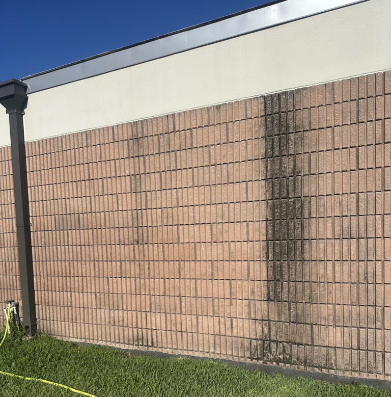 Church Building Soft Washing in New Port Richey, FL Before